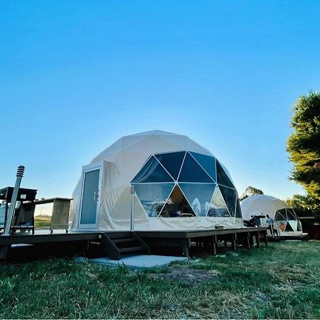 Hillview Farmstay Gundagai Exteriér fotografie