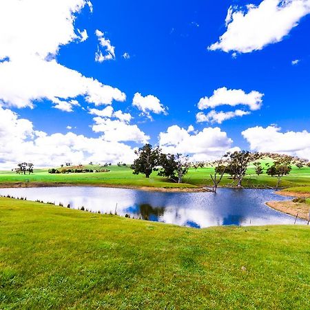 Hillview Farmstay Gundagai Exteriér fotografie
