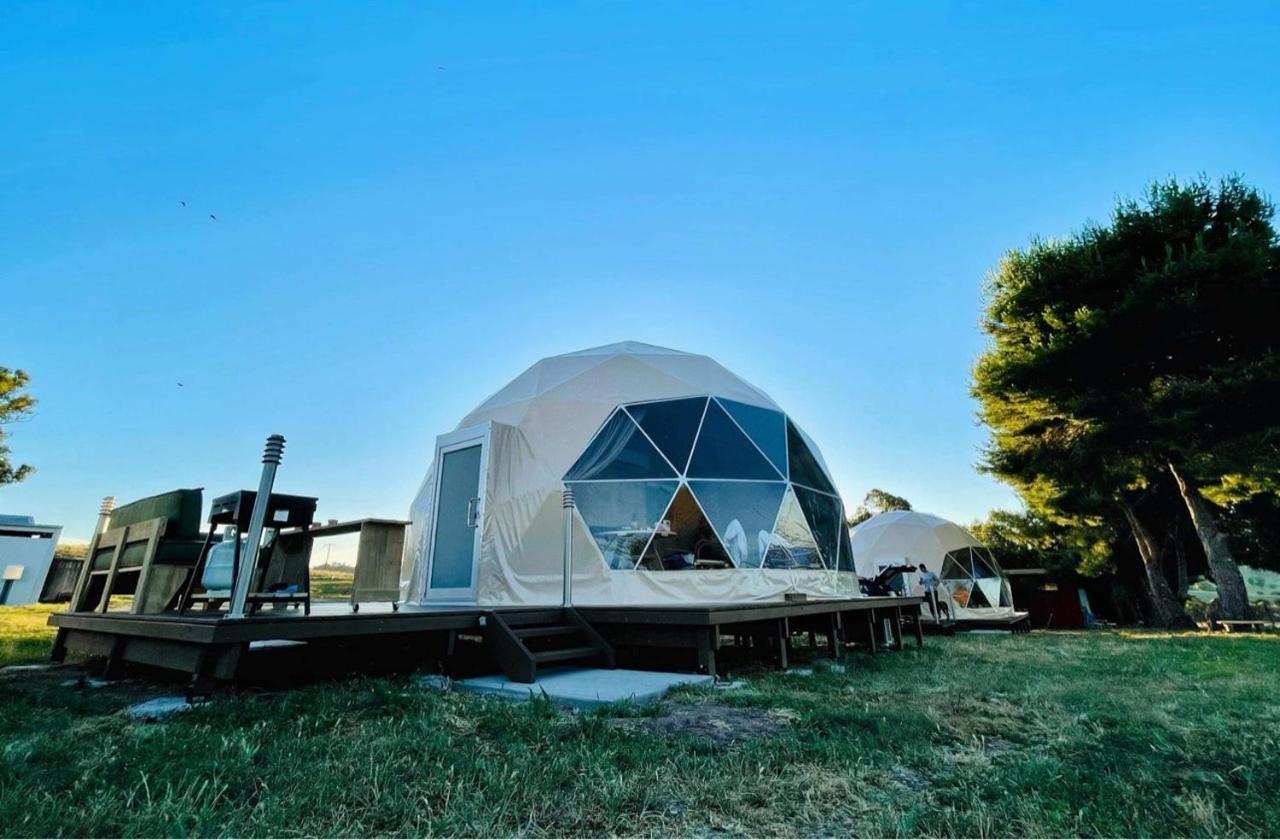 Hillview Farmstay Gundagai Exteriér fotografie