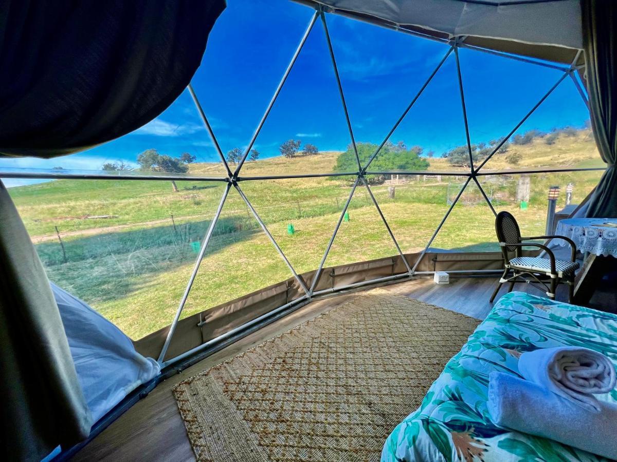 Hillview Farmstay Gundagai Exteriér fotografie
