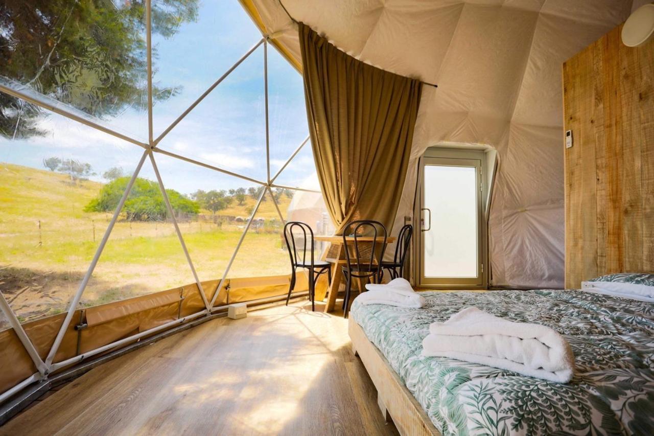 Hillview Farmstay Gundagai Exteriér fotografie