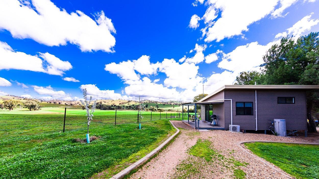 Hillview Farmstay Gundagai Exteriér fotografie
