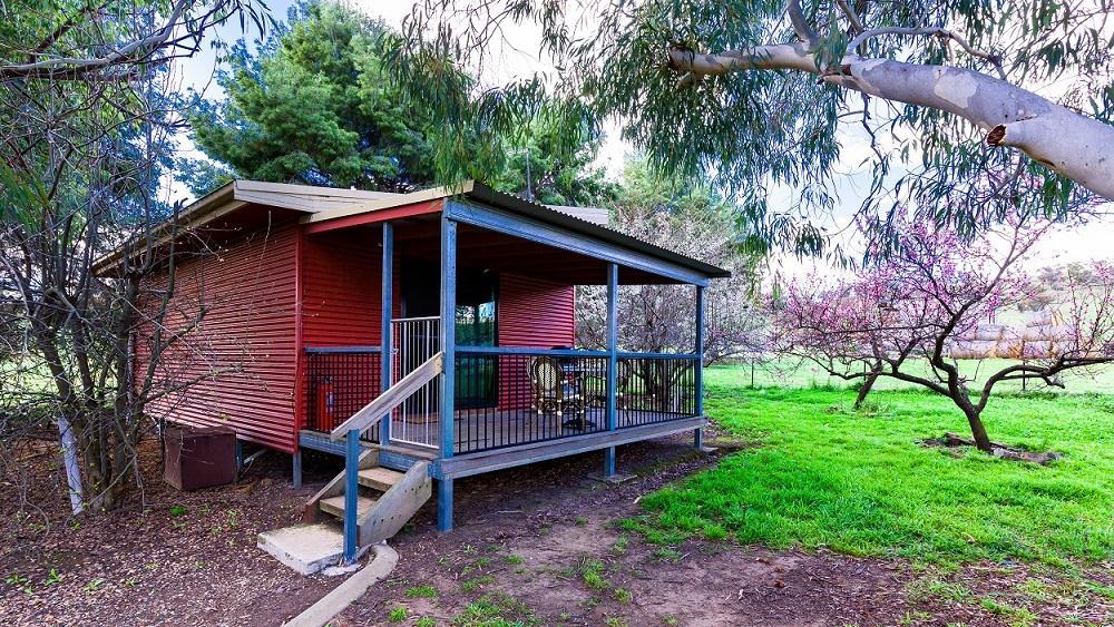 Hillview Farmstay Gundagai Exteriér fotografie