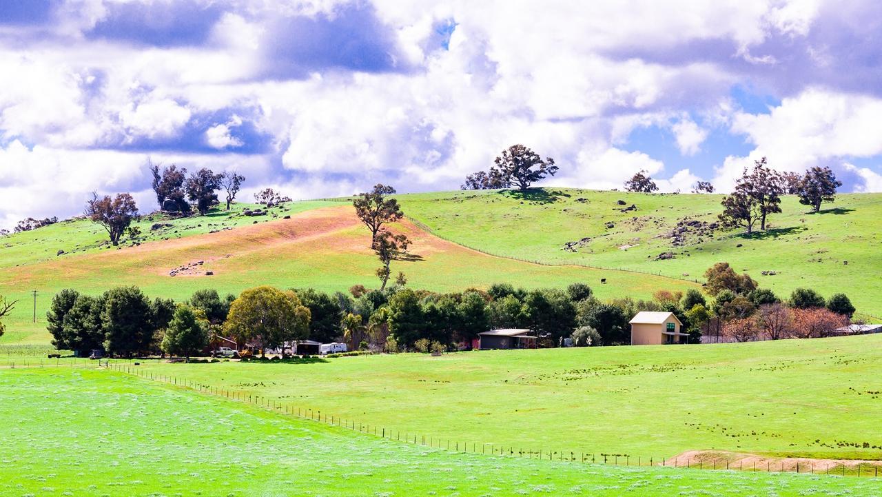 Hillview Farmstay Gundagai Exteriér fotografie