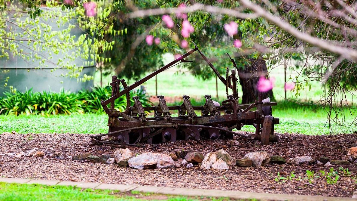Hillview Farmstay Gundagai Exteriér fotografie