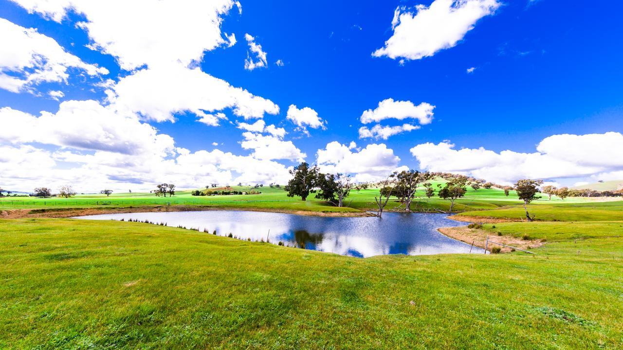 Hillview Farmstay Gundagai Exteriér fotografie