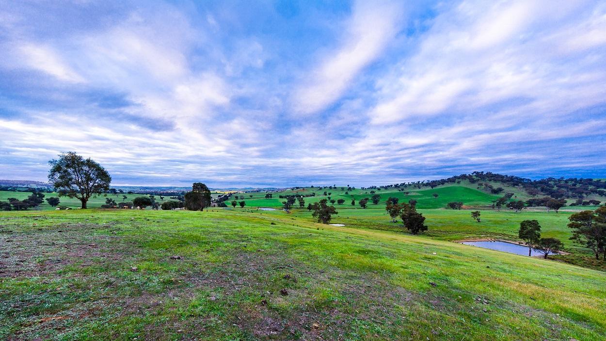Hillview Farmstay Gundagai Exteriér fotografie