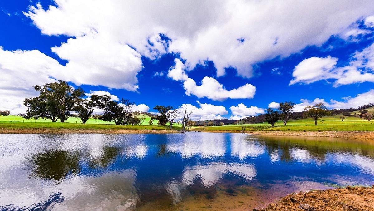 Hillview Farmstay Gundagai Exteriér fotografie