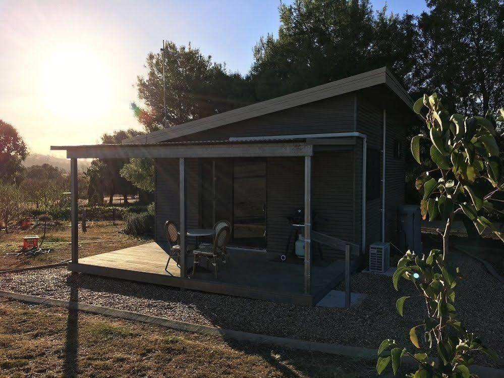 Hillview Farmstay Gundagai Exteriér fotografie