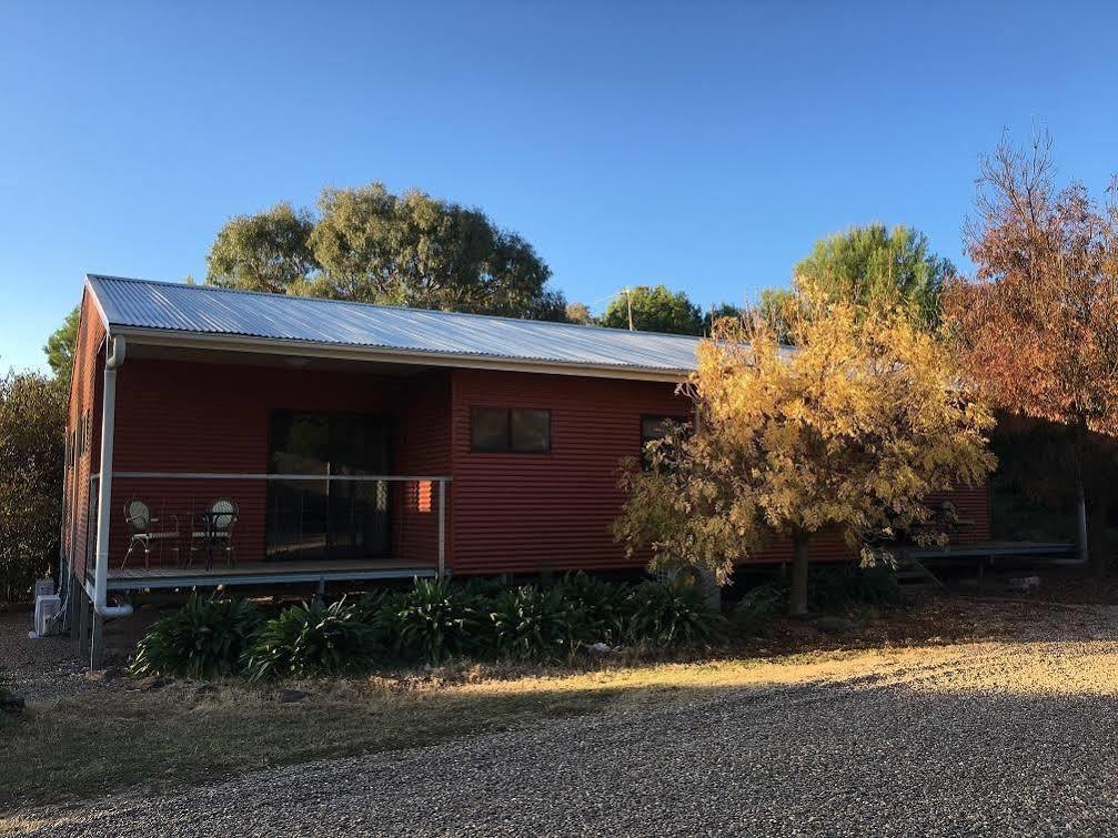 Hillview Farmstay Gundagai Exteriér fotografie