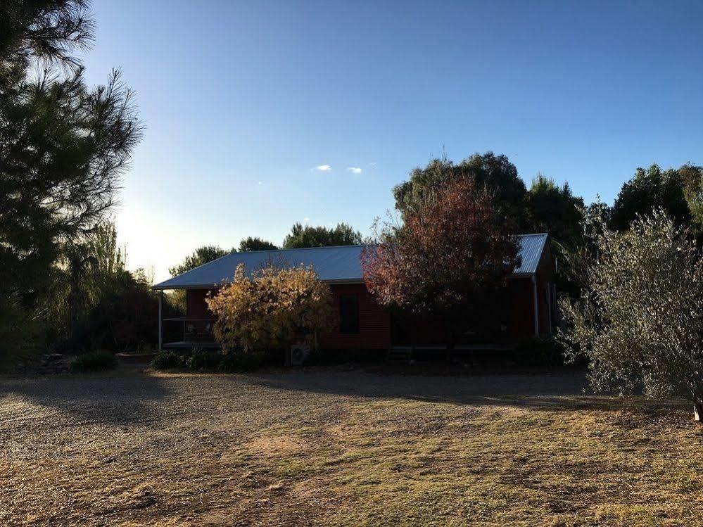 Hillview Farmstay Gundagai Exteriér fotografie