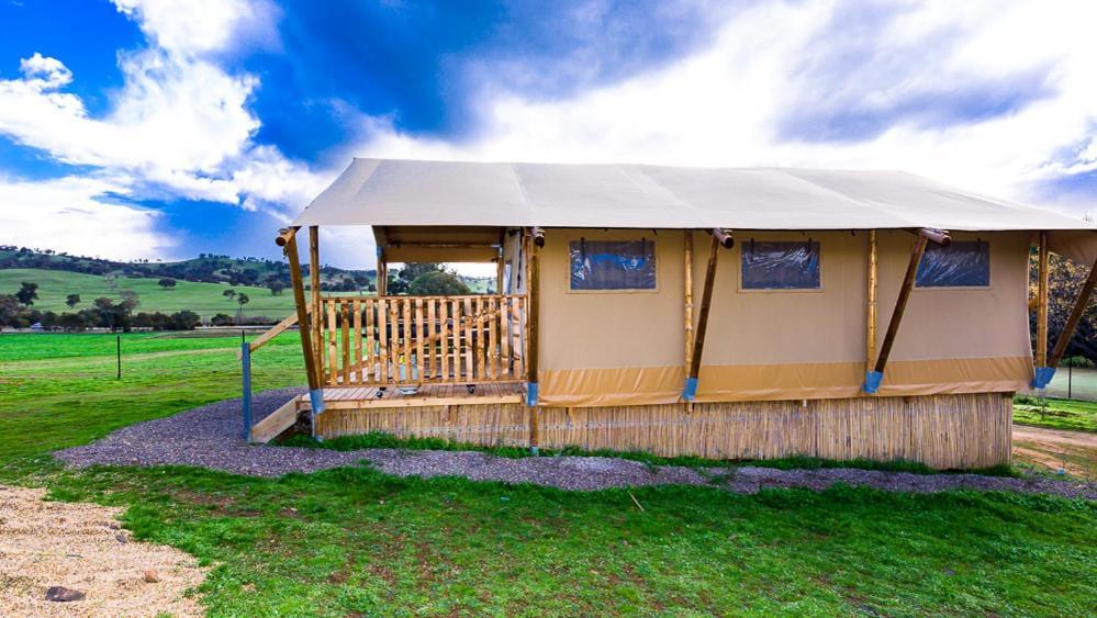 Hillview Farmstay Gundagai Exteriér fotografie