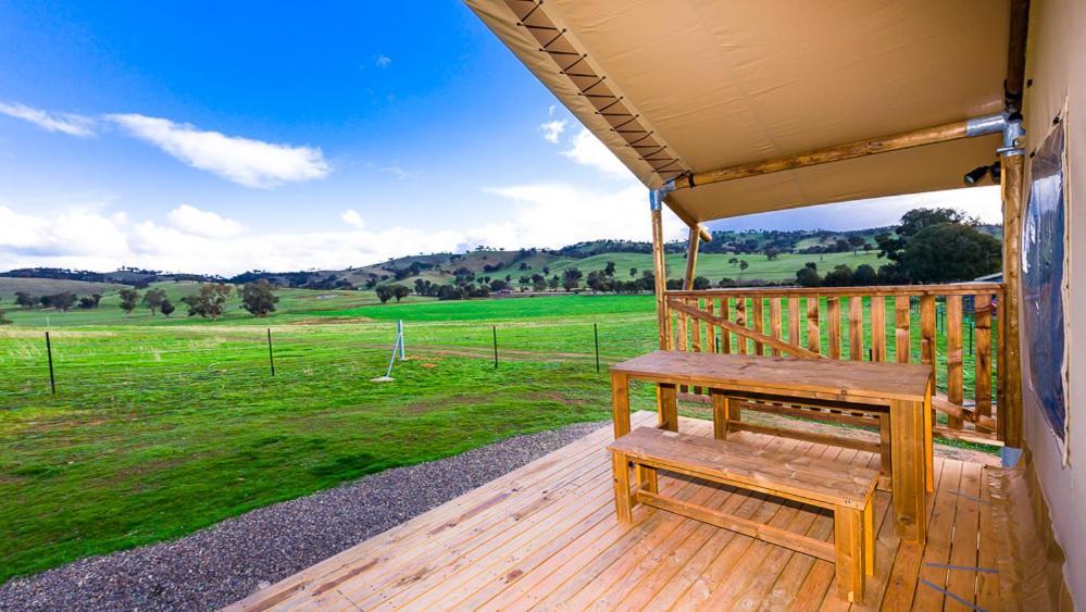 Hillview Farmstay Gundagai Exteriér fotografie