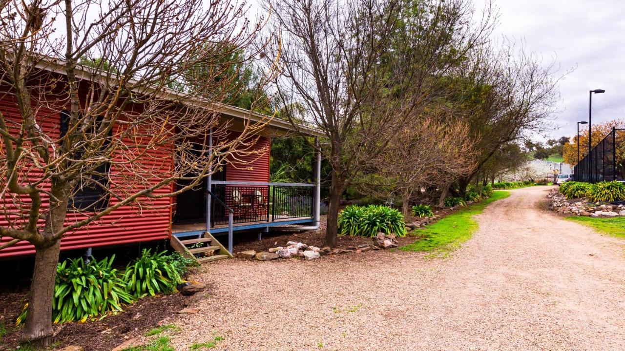 Hillview Farmstay Gundagai Exteriér fotografie